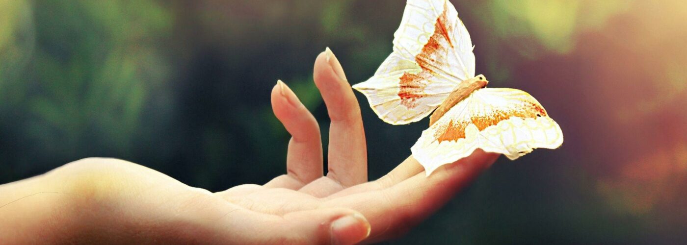 Raquel Giovanardi fonoaudiologia